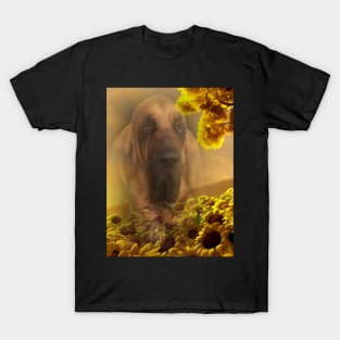 Bloodhound Dog Sunflower T-Shirt